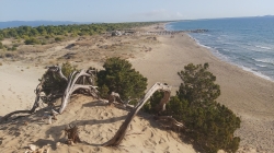 Foresta e spiaggia di Kalogria