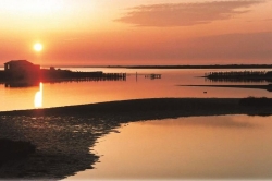 Delta del fiume Evros