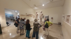 Visita guidata del museo