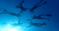 Snorkeling excursion