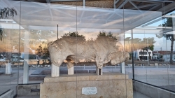 North Evia, bull of Orei